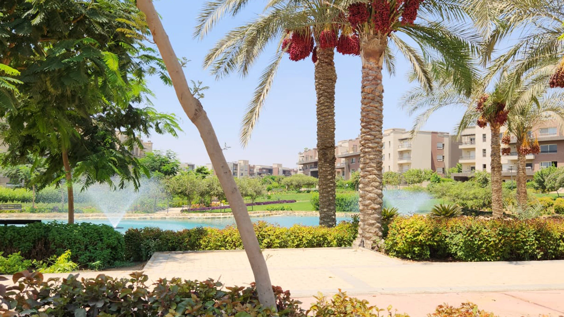 Amberville-New-Giza-Apartment-3
