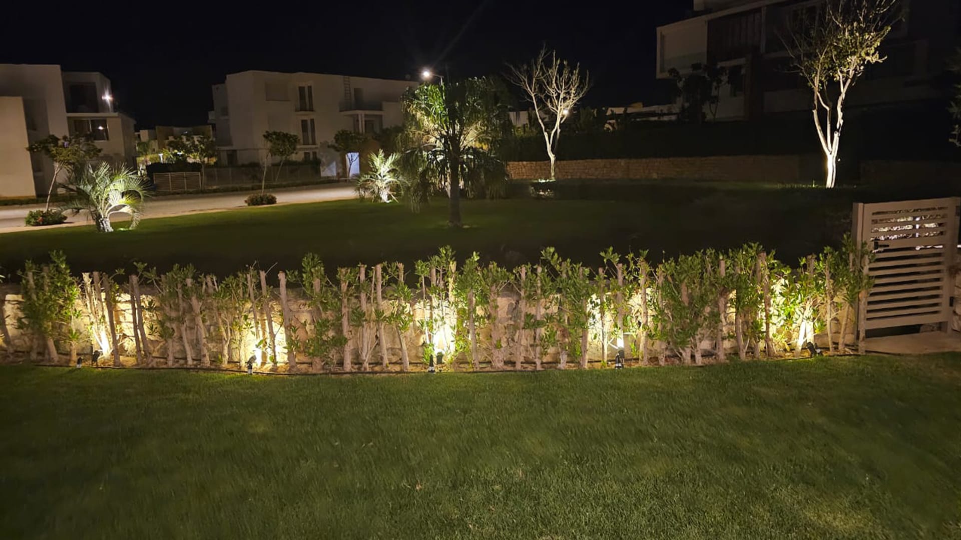 Seashell-26-North-Coast